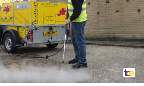 TCE Mobile Steam Cleaner